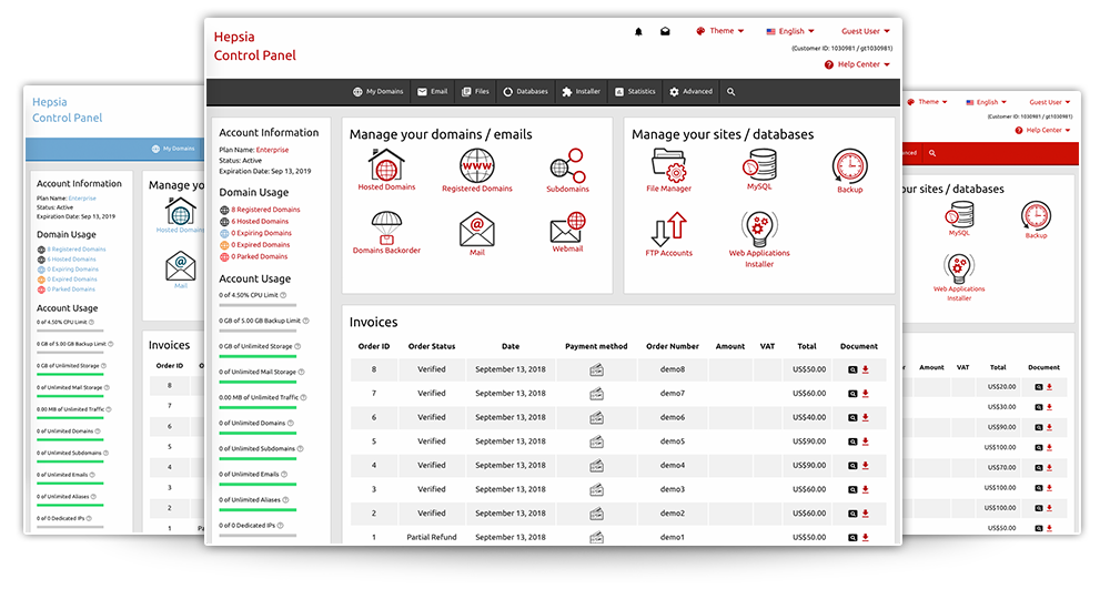 The Hepsia Control Panel dashboard — account overview, domain usage, invoices, and one-click access to email, files, databases and backups